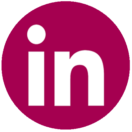 Linkedin icoon.