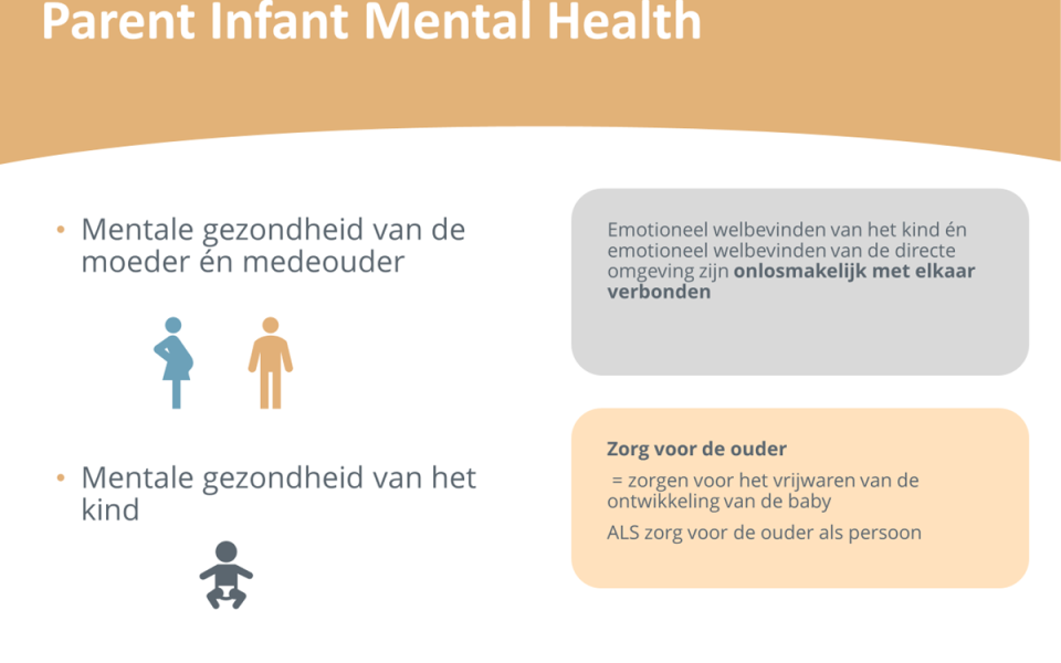 Parent Infant Mental schema