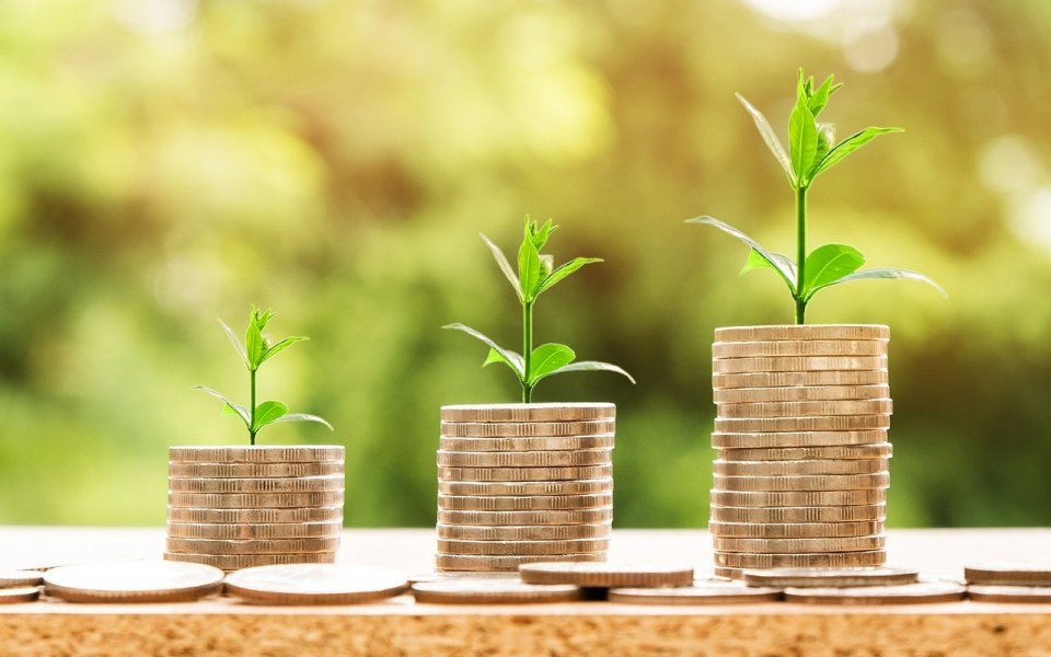 3 stapels centen waaruit klein plantje schiet