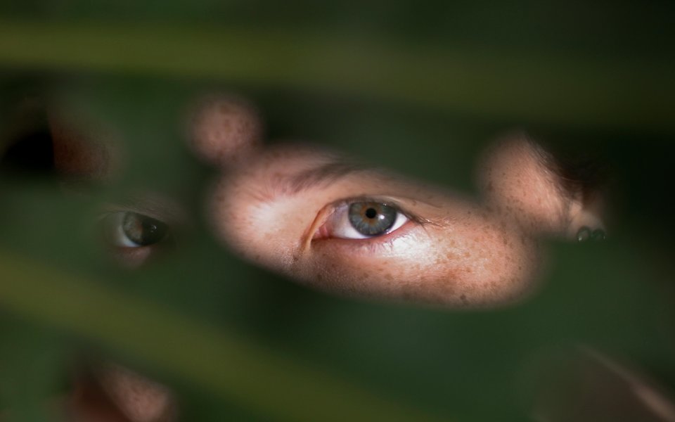 close up van ogen die door bladeren kijken