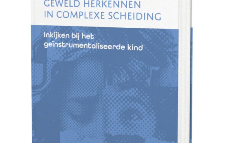 cover-boek-geweld-herkennen-in-complexe-scheiding
