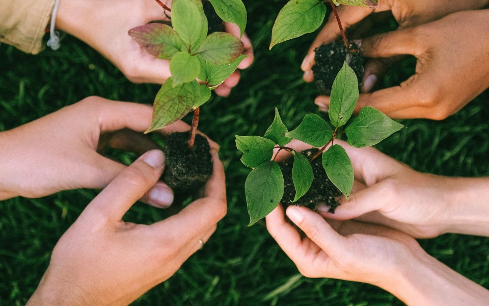 handen die plantjes vasthouden in een cirkel