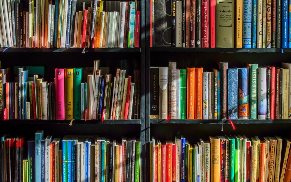 kast-met-boeken