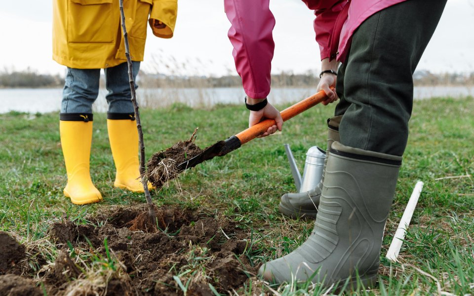kind-en-volwassene-planten-samen-een-boompje