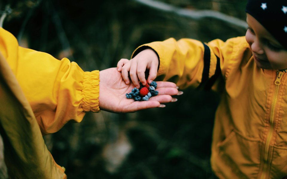 kind-krijgt-handje-bessen-tijdens-wandeling-in-regenjas