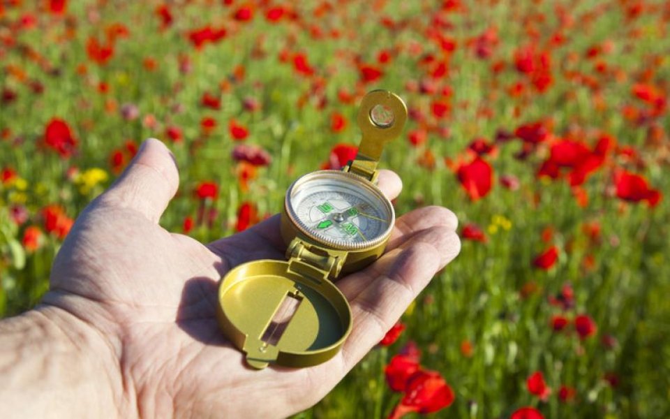 kompas op hand in bloemenweide