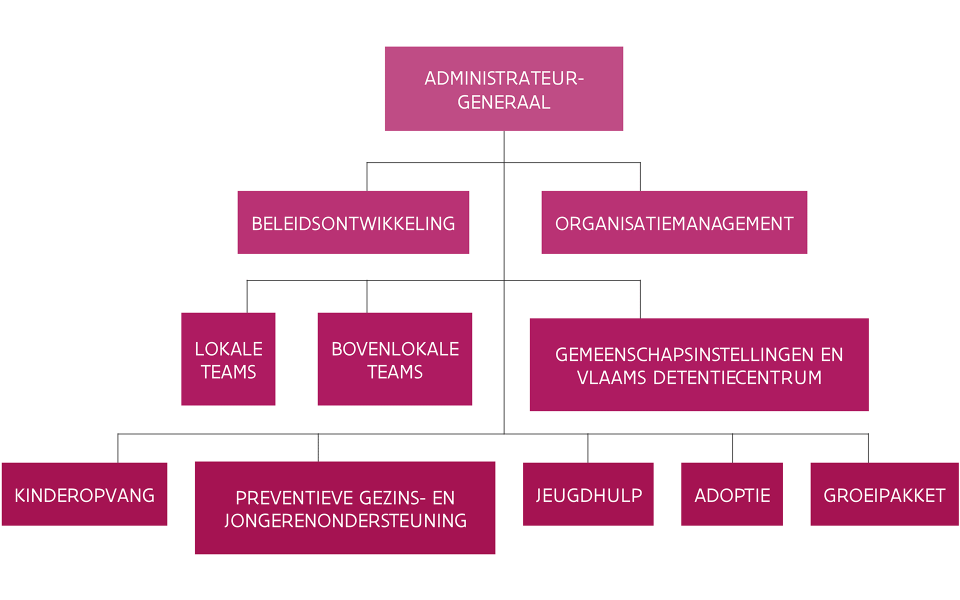 Scheman van organogram van organisatie agentschap Opgroeien (adminsitrateur-generaal, organisatiemanagement, beleidsontwikkeling, teams ...)