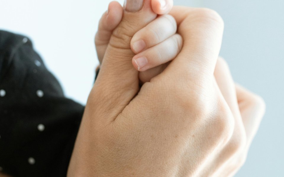 hand van een kindje in de hand van een volwassenen