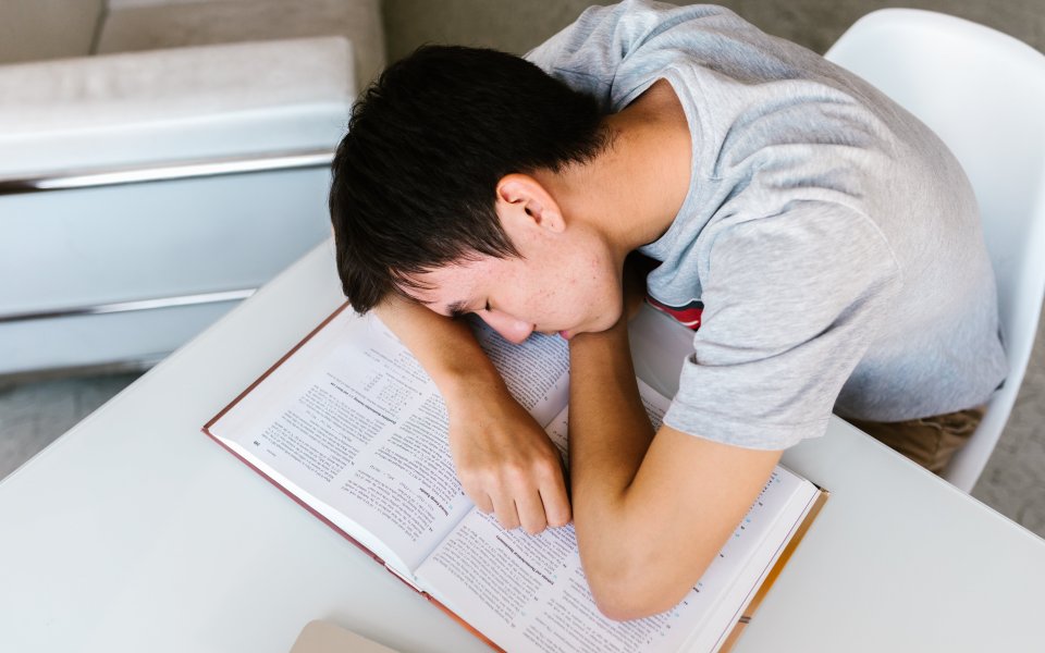 jongen slaapt op zijn boeken