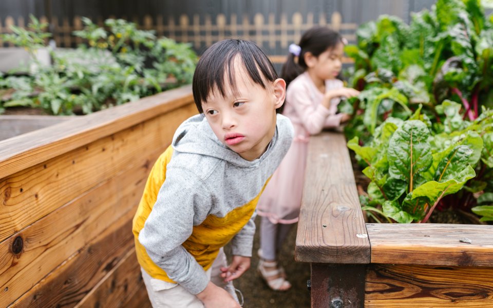 2 kinderen aan moestuin