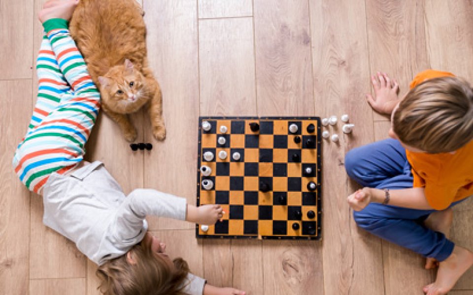 Kinderen spelen schaak op parketvloer