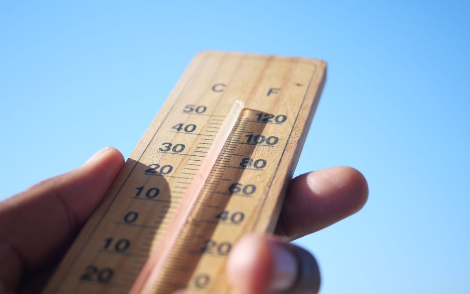 Nieuwsbericht Opgroeien thermometer in de hand