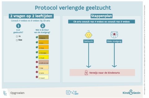 Fig 2: Bijgestuurd Protocol Verlengde Geelzucht voor studie 2 (1/1/2024 tot 30/11/2024)