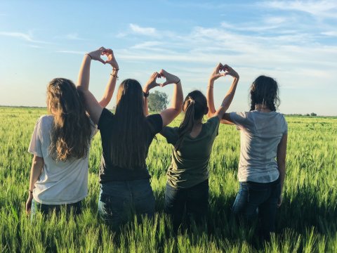 jonge mensen in groen veld