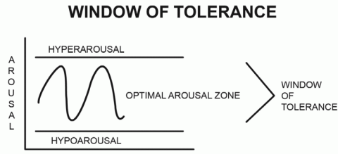 schematische weergave window of tolerance