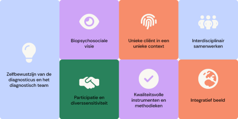 zevenbouwstenenvoorkwaliteitsvollediagnostiek_pijlers_figuur